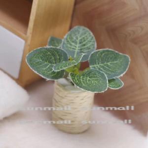 【1点販売】ミニチュア観葉植物 鉢付きフェイク...の詳細画像4