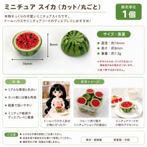 【1点のみ販売】ミニチュア スイカ 約16mm...の詳細画像4