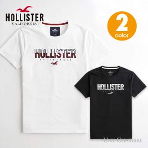ホリスター メンズ アップリケ刺繍 ロゴグラフィック半袖Tシャツ Hollister Logo Graphic Tee ホワイト、ブラック