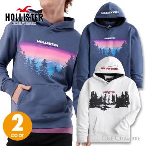 ホリスター メンズ プリントロゴグラフィック フーディー プルオーバーパーカー アウトドア Hollister Logo Graphic Hoodie 2カラー｜unechambre