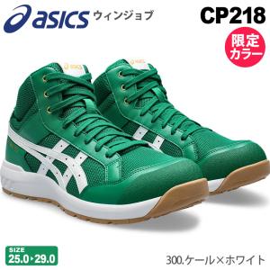 ウィンジョブ ＼P10倍／ アシックス CP309 BOA LC 限定カラー 300