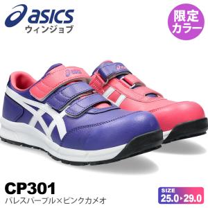 ウィンジョブ ＼P10倍／ アシックス CP309 BOA LC 限定カラー 300