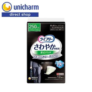 ポイズ 肌ケアパッド 吸水ナプキン 安心の中量用(ライト) 80cc ( 39枚