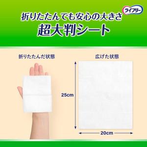 ライフリー らくらくおしりふき超大判 60枚×...の詳細画像3