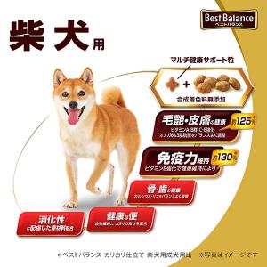 ケース ベストバランス カリカリ仕立て 柴犬用...の詳細画像1
