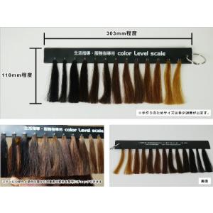 カラーレベルスケールの商品一覧 通販 Yahoo ショッピング