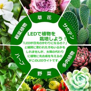 植物育成ライト led 観葉植物 ランプ 太陽...の詳細画像1