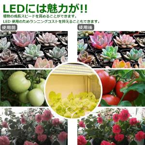 植物育成ライト led 観葉植物 ランプ 太陽...の詳細画像2