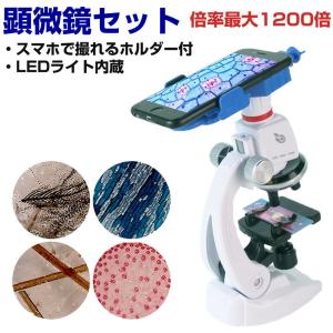 1200倍 顕微鏡 セット スマホ ホルダー付 LEDライト