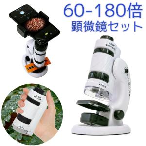 顕微鏡 子供 ミニ顕微鏡セット ハンディ 60倍...の商品画像