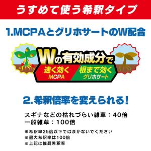 除草剤 希釈タイプ 500ml 速効 強力 液...の詳細画像2
