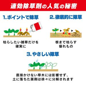 除草剤 希釈タイプ 500ml 速効 強力 液...の詳細画像4