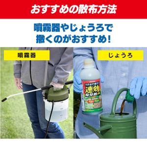 除草剤 希釈タイプ 500ml 速効 強力 液...の詳細画像5