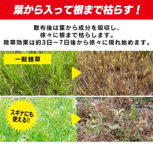 除草剤 4L 2本セット 速効 強力 液体 ア...の詳細画像1