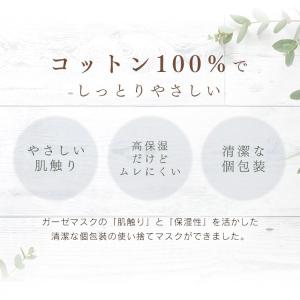 マスク 不織布 アイリスオーヤマ 不織布マスク...の詳細画像1