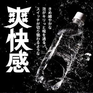 炭酸水 500ml 48本 最安値 強炭酸水 ...の詳細画像5