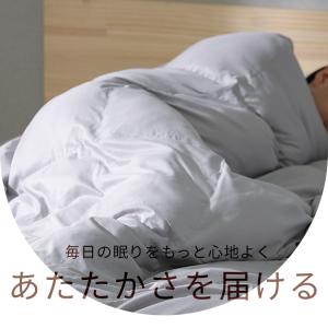 布団乾燥機 電気代 マット不要 アイリスオーヤ...の詳細画像2
