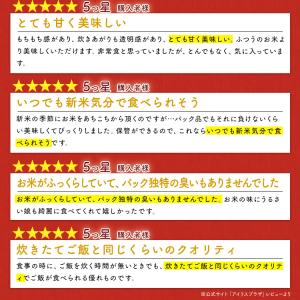 パックご飯 レトルトご飯 150g 10食 ご...の詳細画像4