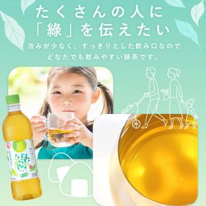 お茶 緑茶 ペットボトル 500ml 24本 ...の詳細画像5