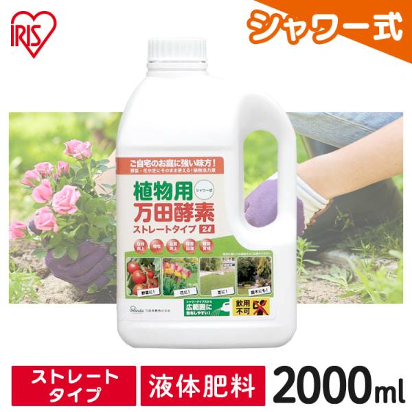 万田酵素 ストレート 2L 2000ml 2リットル 肥料 野菜 液肥 液体肥料 植物 活力剤 園芸...