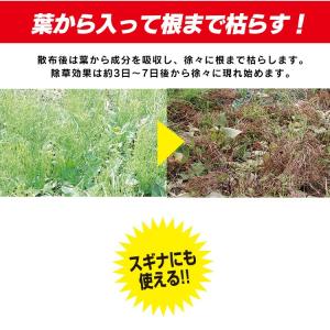 除草剤 ストレートタイプ 4L 単品 アイリス...の詳細画像3