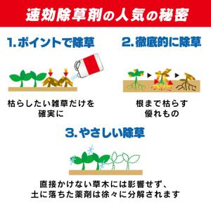 除草剤 4L 速効 強力 液体 アイリスオーヤ...の詳細画像3