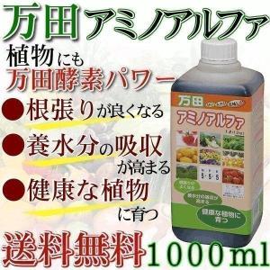 万田酵素 万田アミノアルファ 1L 1000m...の詳細画像3