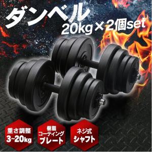 ダンベル 20kg 2個セット 筋トレ 腕 胸筋 引き締めトレーニング セメント SDB-I002BK (D) ▼｜unidy-y