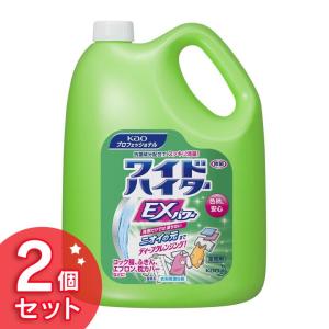 ワイドハイターEXパワー ワイドハイター EXパワー 4.5L 2個セット(D) 花王プロシリーズ Kao 清掃用品 掃除用品 環境安全用品｜unidy-y