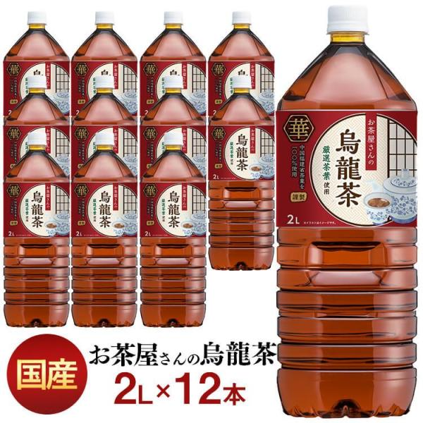 烏龍茶 2l 12本 ペットボトル 安い 2リットル LDC お茶屋さんの烏龍茶 送料無料 お茶 2...