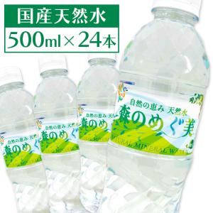 水 500ml 24本 ミネラルウォーター 500ml 24本 送料無料 熱中症対策 暑さ対策 飲料水 天然水 森の恵み 森のめぐみ 森のめぐ美