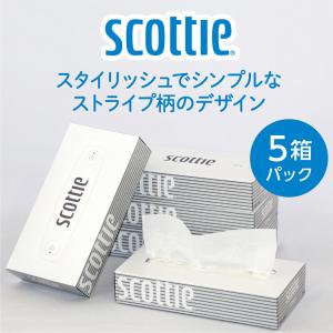 ティッシュ スコッティ ティッシュペーパー 1...の詳細画像1