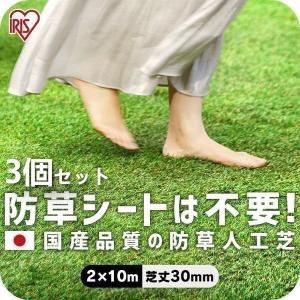 アイリスオーヤマ リアル 防草人工芝 2m×10m 芝丈30mm 人工芝 IRIS OHYAMA 人工芝 2m ロール 幅2m 2個セット 2m×10m 芝丈30mm