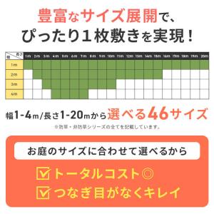 人工芝 2m×9m ロール 幅2m 防草 防草...の詳細画像3