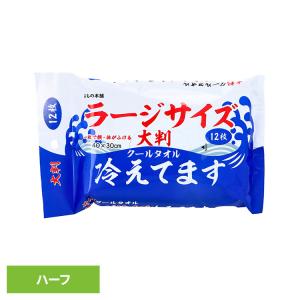 クールタオル 冷感タオル ロング 大判タオルラー...の商品画像
