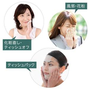 スコッティ カシミヤティシュー キューブ(80...の詳細画像4