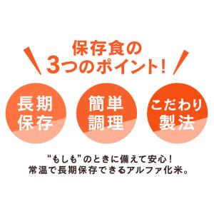 非常食 非常食セット 50食 長期保存 アルフ...の詳細画像3