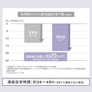 保冷剤 ハード XLサイズ 2個セット 長時間...の詳細画像3