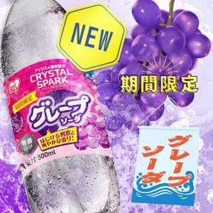 炭酸水 500ml 24本 強炭酸水 アイリス...の詳細画像2