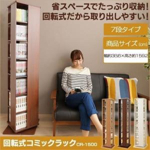 ブックワイヤー] スチール本棚 クールラック専用 ブックワイヤー