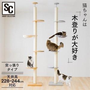 K14 突っ張り キャットタワー 木製 キャットツリー 多層無垢材 太い