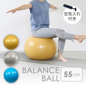 バランスボール 椅子 55cm ヨガボール フィットネス トレーニング 空気入れ セット 健康器具 エクササイズ おしゃれ マットカラー 23-187 (D)｜unidy-y