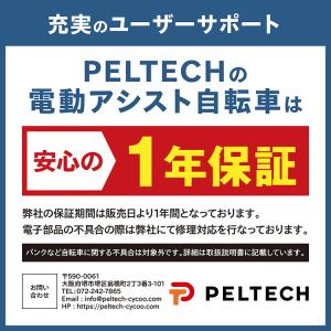 (100%完成納品)電動自転車 ミニベロ PE...の詳細画像1