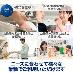 食器用洗剤 JOY キッチン用洗剤 プロフェッ...の詳細画像5