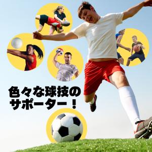 空気入れ 針 ボール エアポンプ ボールポンプ...の詳細画像2