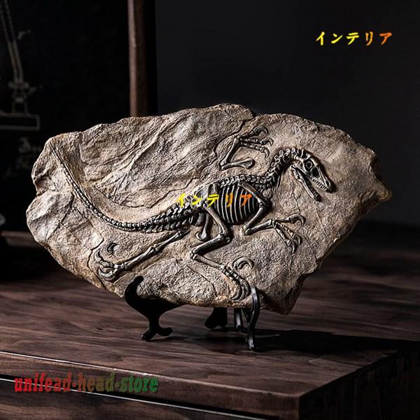 インテリア装飾 アンティーク 置き物 化石 卓上デコレーション 恐竜のモデル オシャレな置き物 樹脂...