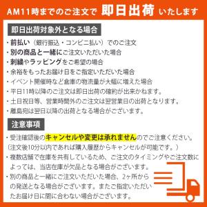 即日出荷 保冷剤2個付 アイスネッククーラー ...の詳細画像1