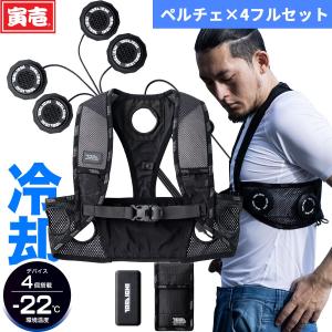 DAISHIN 2025年 ペルチェベスト ペルチェ6個 IWV-H25F 大進 DAISHIN（大進） 冷暖切替ペルチェベスト ULTRA ペルチェ素子6個 夏冬