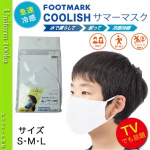 COOLISH サマーマスク 水で濡らして絞って冷感持続 UVカット