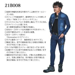 Dinnovation ディノベーション デニ...の詳細画像1